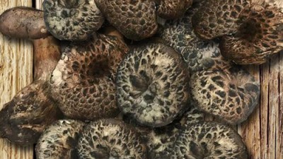 냉동능이 특가 할인! 🍄 솔직 후기와 꿀팁 대방출