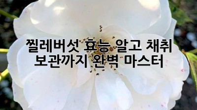 🌿 찔레버섯 효능 알고 채취, 보관까지 완벽 마스터! 🍄
